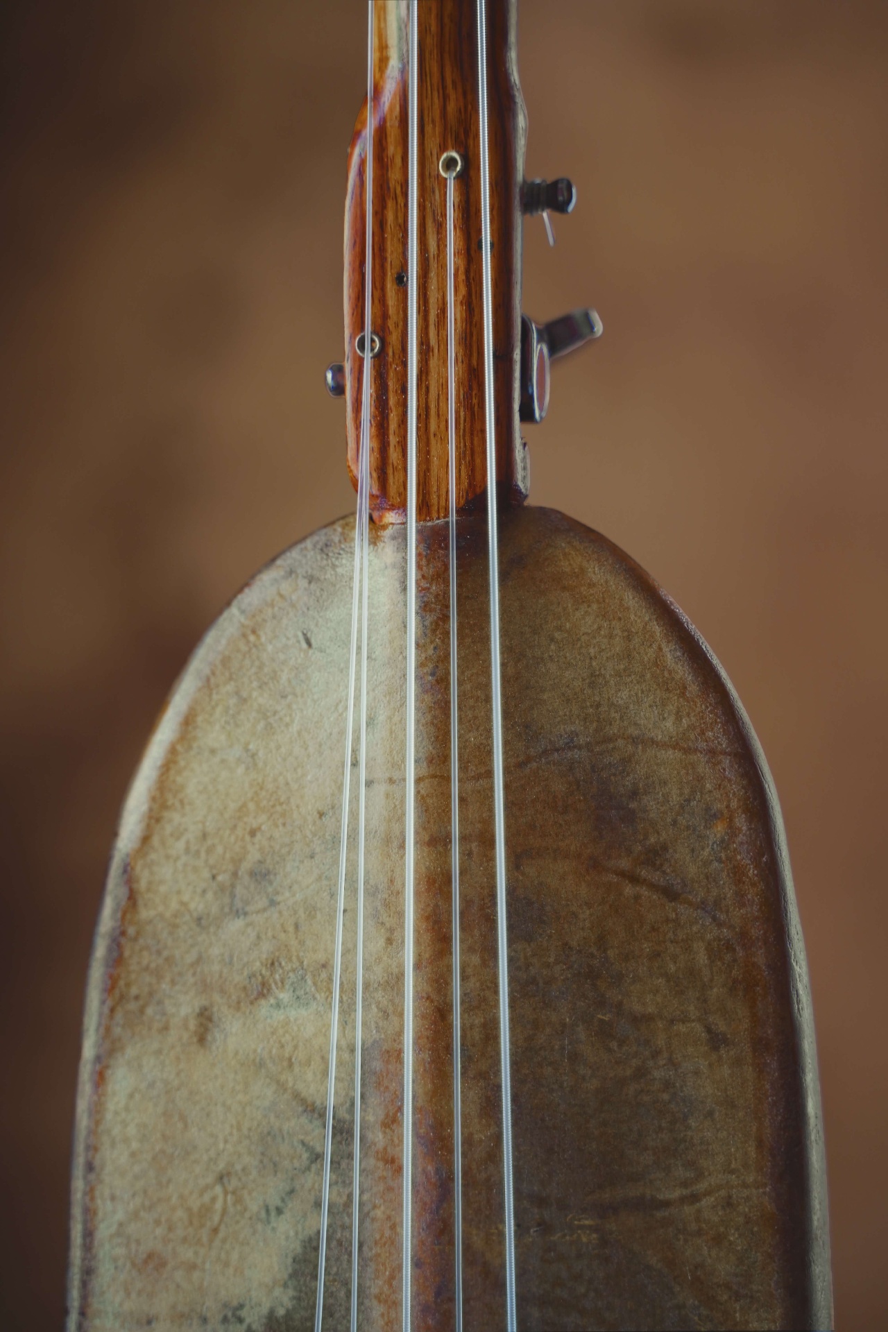 Close-up of the xalam neck joining the skin-covered body