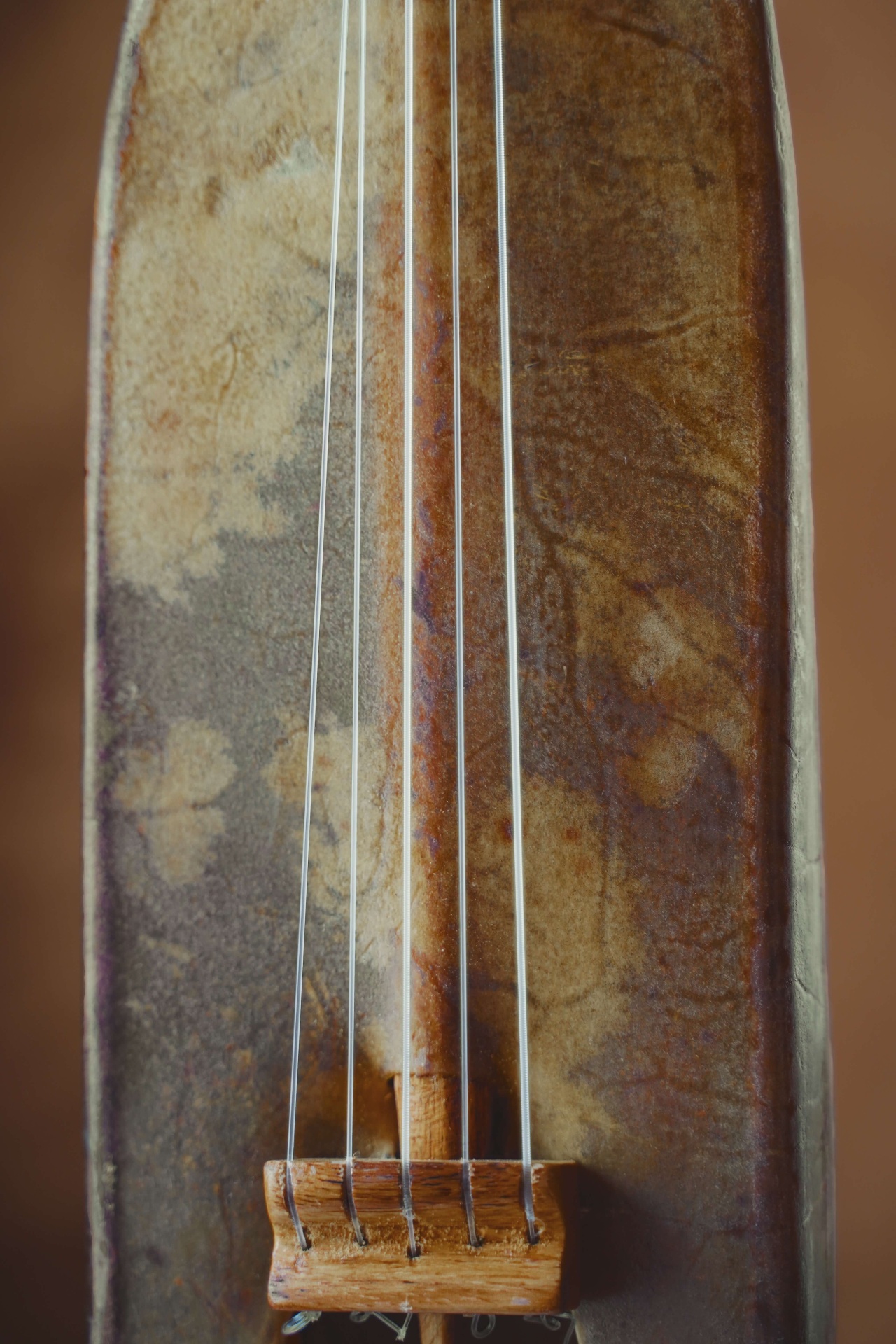 Close-up of the xalam strings across the skin body