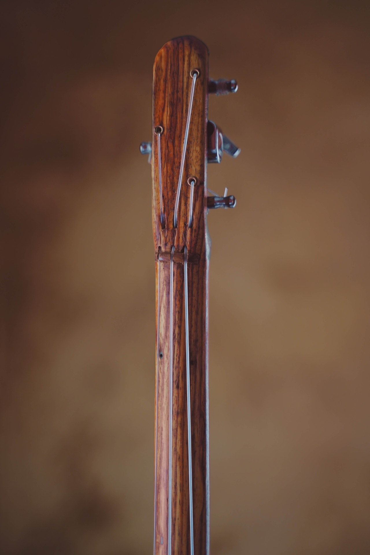 Close-up of the xalam headstock and tuning pegs
